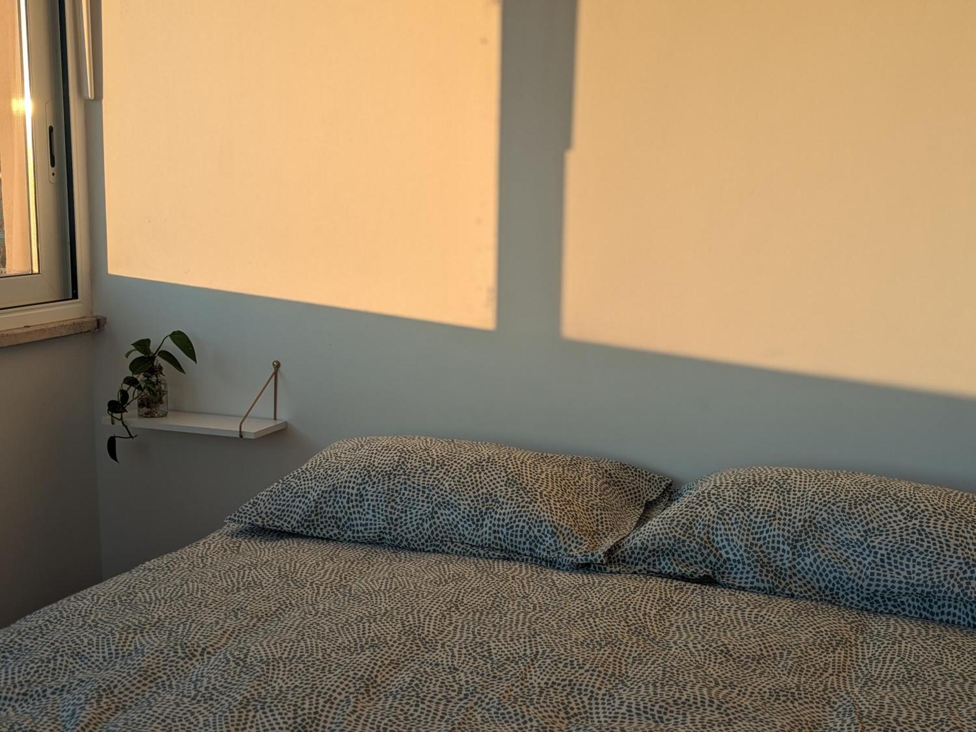 Casetta Sole, Superattico Con Terrazzo Vicino San Pietro, New Roma Dış mekan fotoğraf